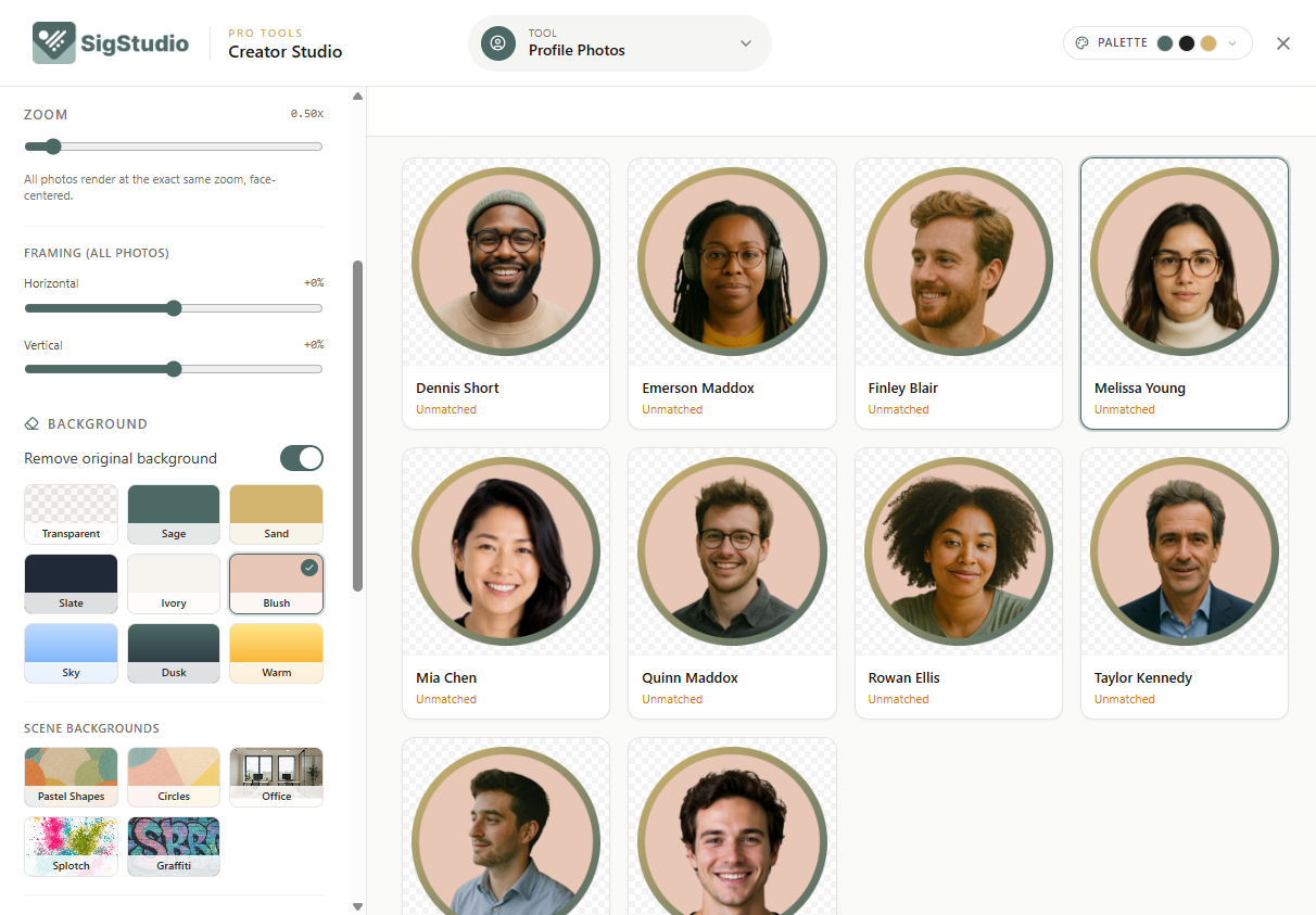 Bulk photo uploader